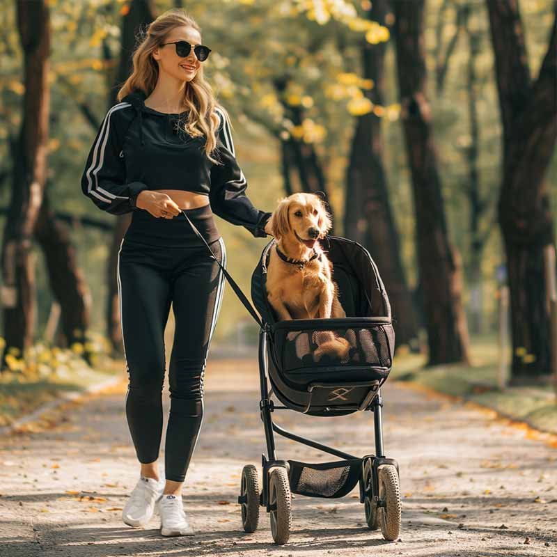 dog stroller with a golden retriever